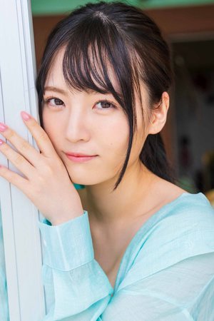 CGPS系列 带T型滑动导轨的平行...