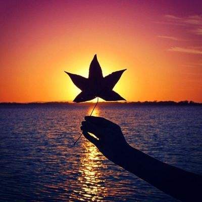 亿德体育APP(官方)综合娱乐APP下载截图3