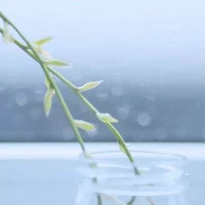 万语言聪——以专业铸就信任,打造华北BPO服务新标杆